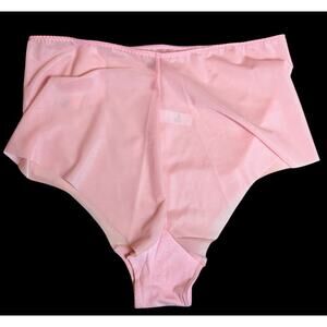 SPANX Underwear Womens 2X Gloss Pink Skinny Britches Hipster Panty Shaping 902P